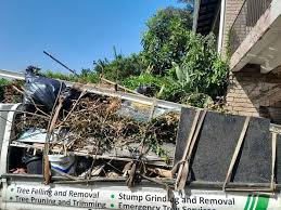 Shed Removal in Folsom, CA